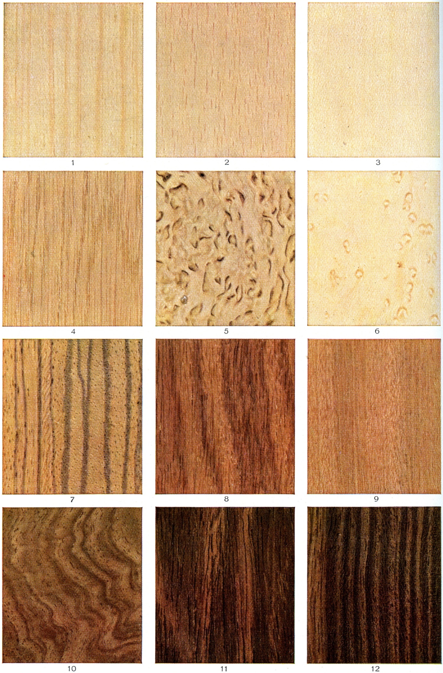 Interior Design Q A Mixing Wood Species In Decor Tuckey Mixing Wood Species In Decor