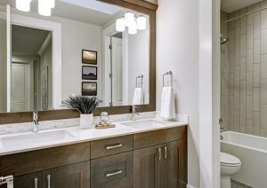 bathroom remodel