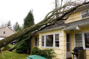 wind or storm damage