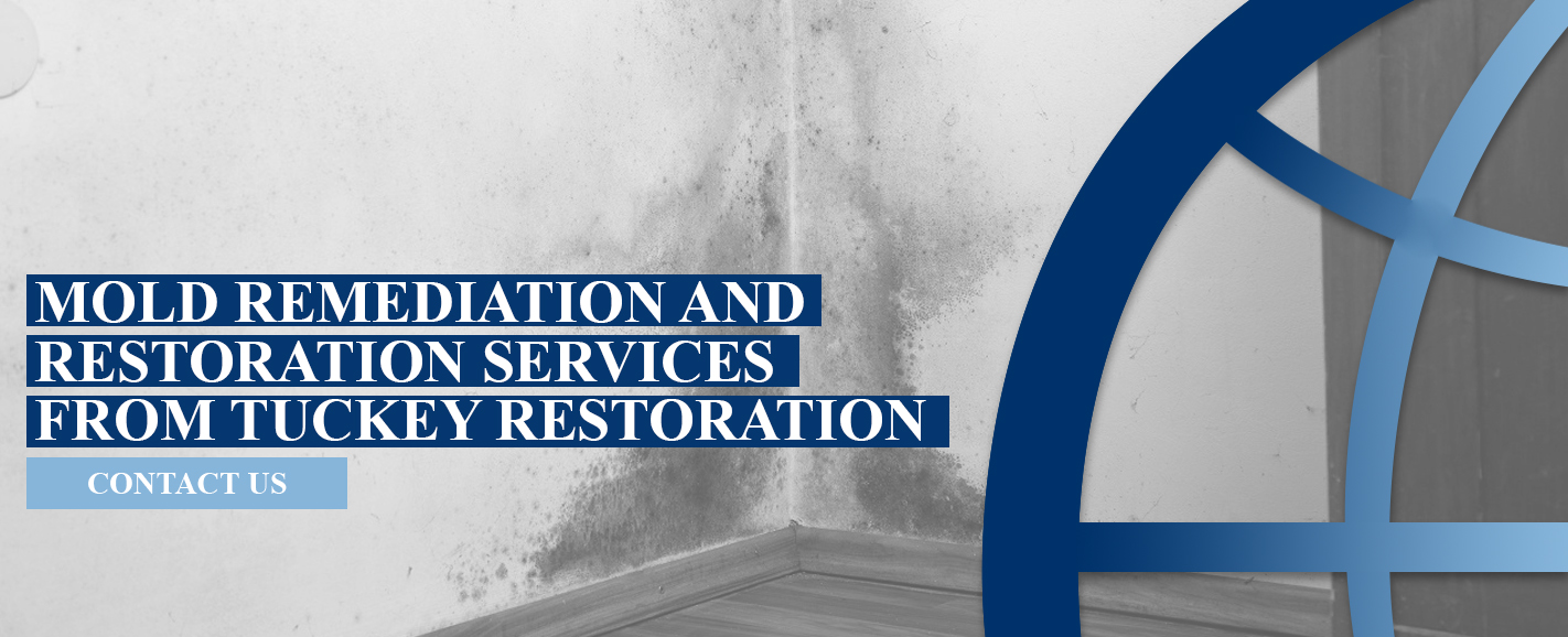 Tuckey Restoration Mold Remediation and Restoration Services