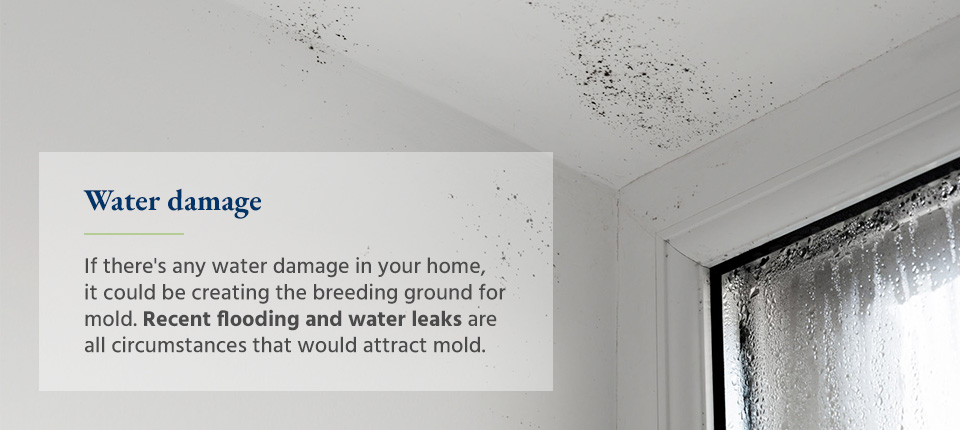 Water damage